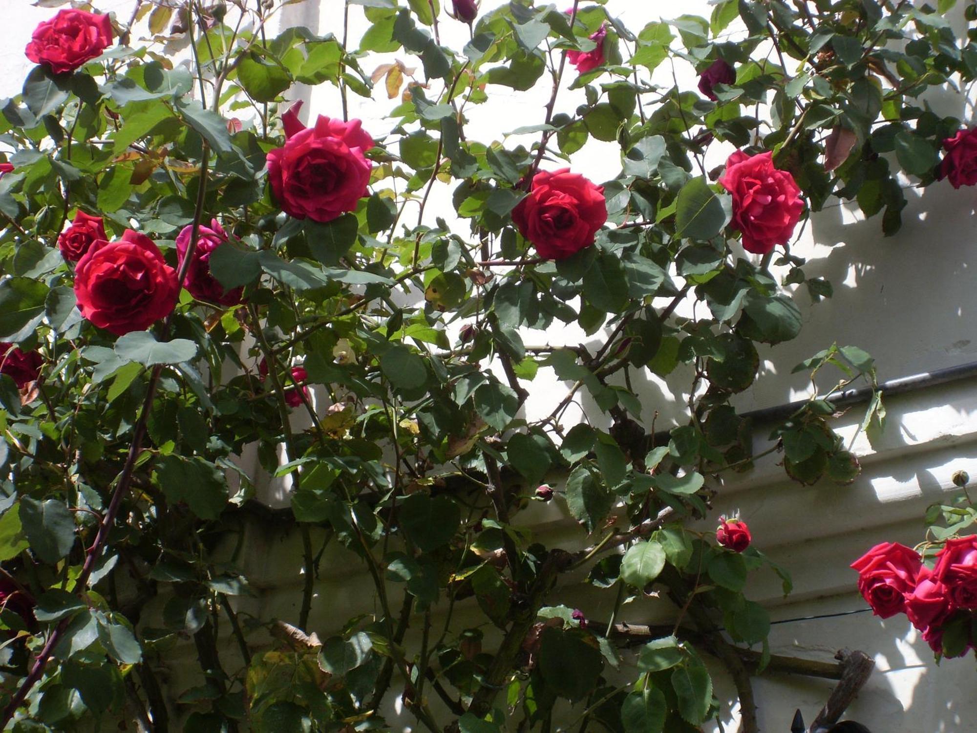 La Heraudiere Bed & Breakfast Tours Szoba fotó